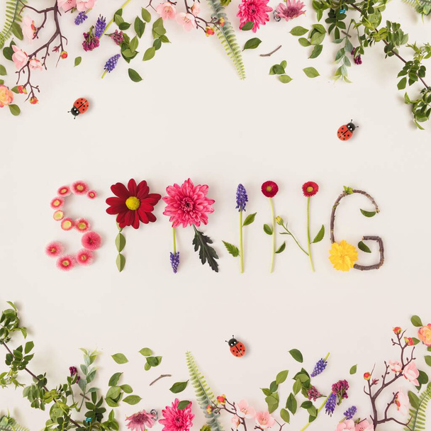 The word spring made of colorful flowers on a bright background. - Foto, Bild