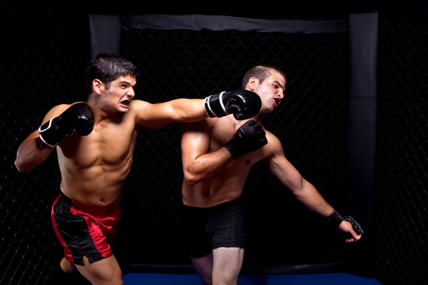 Mixed martial artists fighting - punching - Фото, зображення