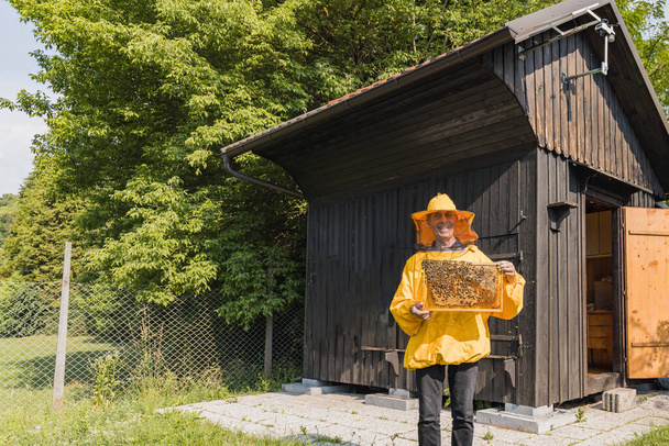 Portrait of a Caucasian man, beekeeper in yellow protective gear holding a hive frame covered with comb and bees - Foto, Imagem