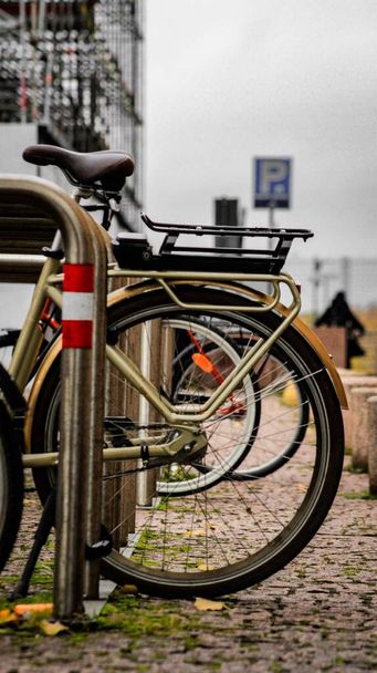 A vertical shot of bicycles with wheels parked outdoors on a cloudy day on the blurred background - Фото, зображення