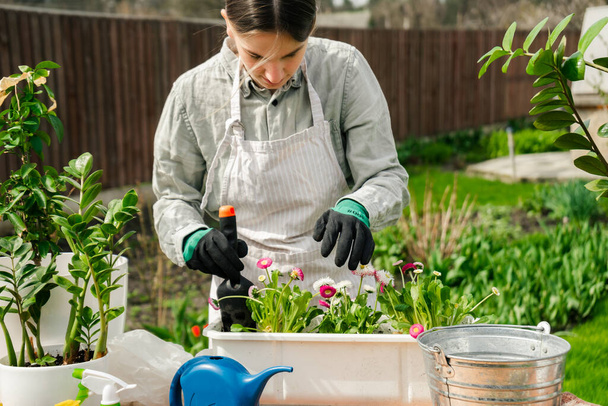 una hermosa mujer caucásica plantando flores en macetas - Foto, imagen