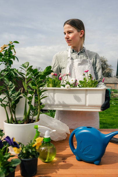 une belle femme caucasienne plantant des fleurs dans des pots - Photo, image