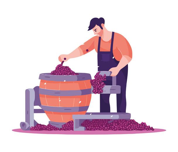Men working in vineyard harvesting organic grapes isolated - Vector, Image