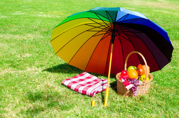Rainbow umbrella and Picnic basket - Photo, Image