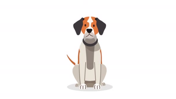 cute beagle dog mascot animation 4k video animated - Footage, Video