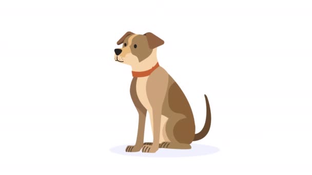 анимация персонажа талисмана собаки 4k видео анимировано - Кадры, видео