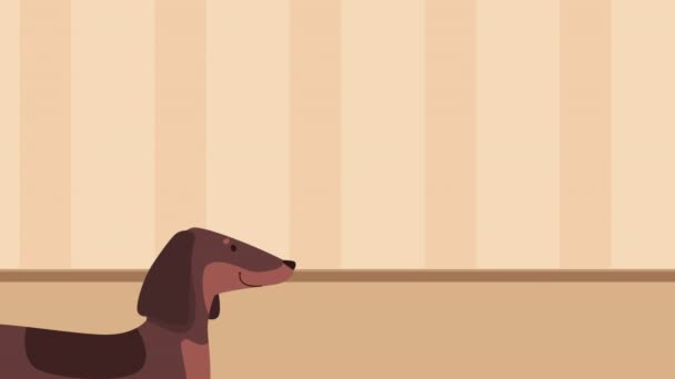 bonito cão foxhound mascote animação 4k vídeo animado - Filmagem, Vídeo