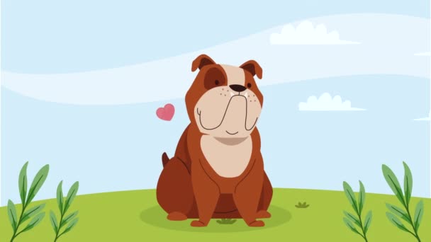 dog english bulldog mascot animation 4k video animated - Footage, Video