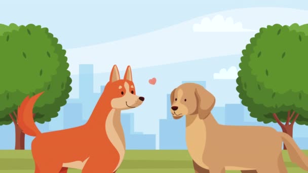 χαριτωμένα σκυλιά ζευγάρι χαρακτήρες κινουμένων σχεδίων 4k βίντεο κινουμένων σχεδίων - Πλάνα, βίντεο