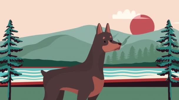 анимация персонажа талисмана собаки добермана 4k видео анимировано - Кадры, видео