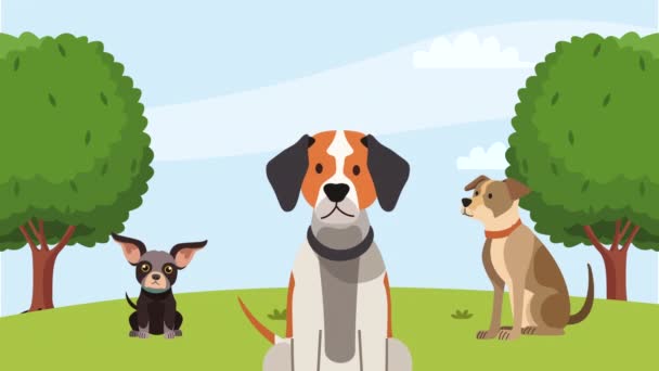 kolme koiraa puistossa animaatio 4k video animoitu - Materiaali, video