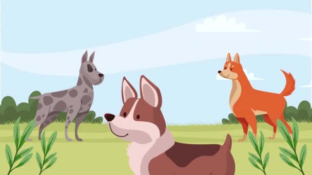drie honden in het park animatie 4k video geanimeerd - Video