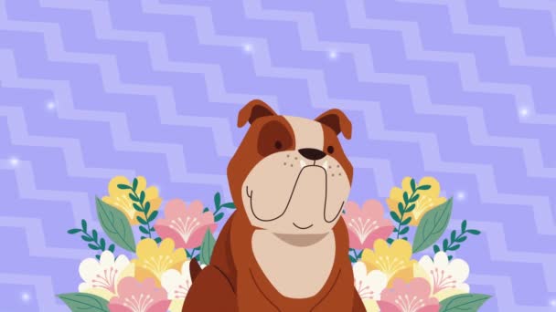 perro inglés bulldog mascota animación 4k video animado - Metraje, vídeo