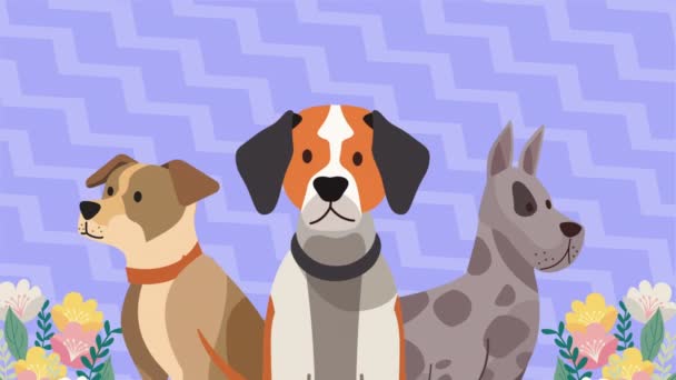 drei hunde haustiere mit blumen animation 4k video animiert - Filmmaterial, Video