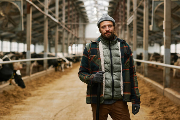 Portrait of farmer standing at cows farm and taking care of cattle domestic animals - Foto, immagini