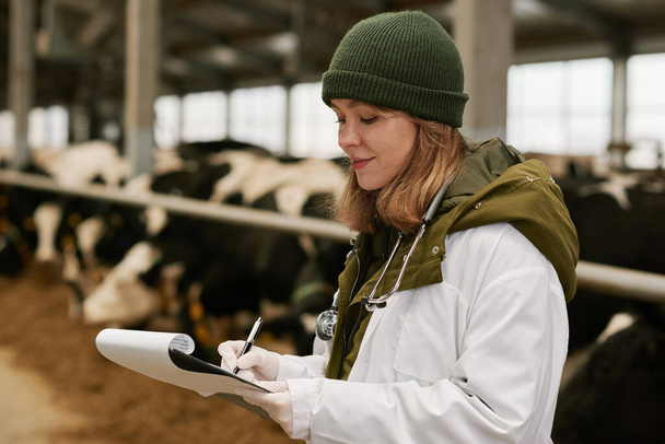 Médico veterinario joven en bata blanca que trabaja en la granja con vacas, ella toma notas en la tarjeta después del examen médico - Foto, imagen