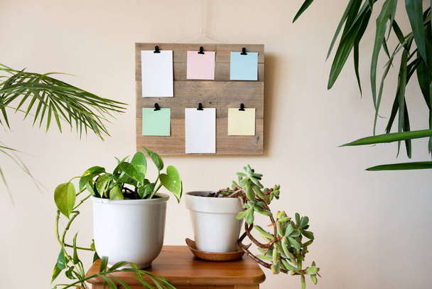 tablero de madera con clips en el que colgar el poste de color, tablero rodeado de plantas en el espacio interior de la casa para recordar las cosas que hacer. - Foto, imagen
