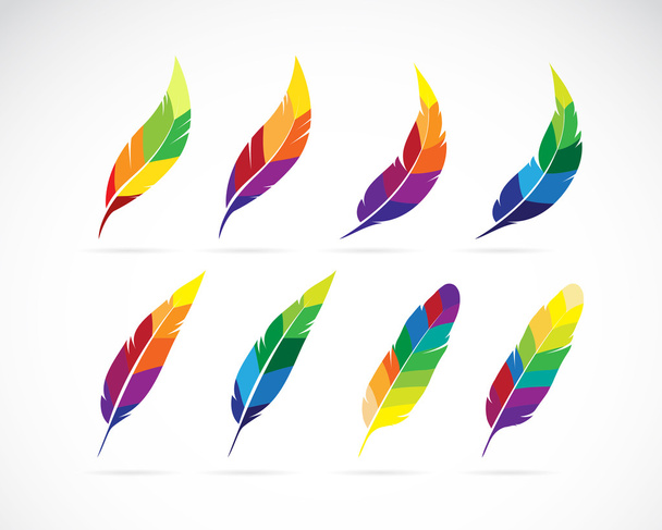 Vector group of an feathers design  - Vector, Image