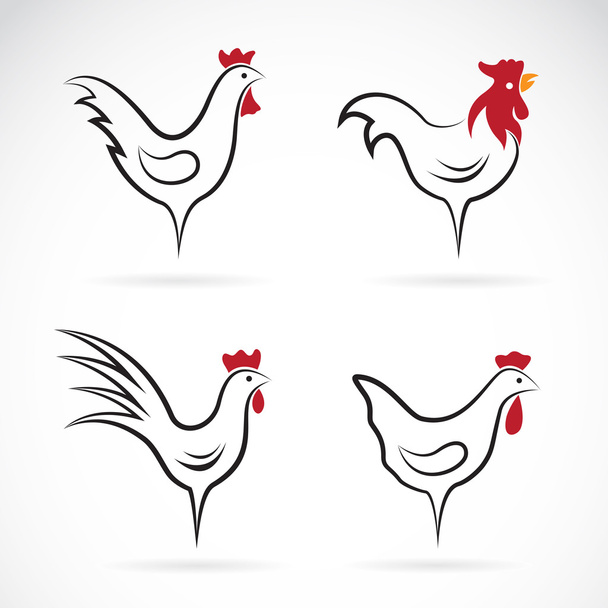 Vector image of an chicken design on white background - Vector, Image