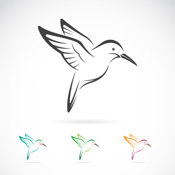 Vektorový obraz kolibříka designu na bílém pozadí - Vektor, obrázek
