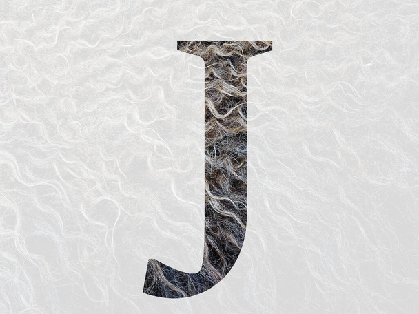 Letter J of the alphabet made with curly hear of the wool of a sheep, with colors brown, white and beige - Foto, Imagen
