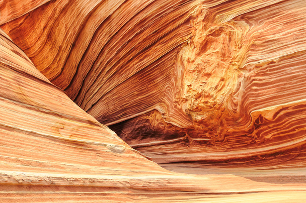 vlna, arizona - Fotografie, Obrázek