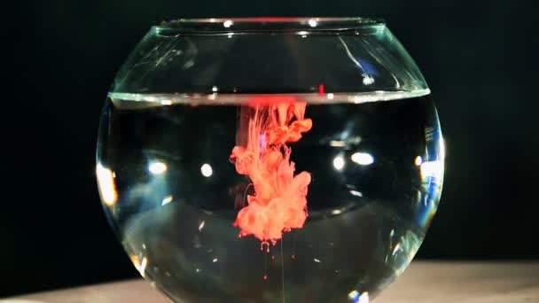 drops of blood falling in an aquarium. Slow motion - Video