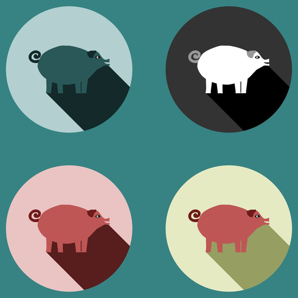 Porco com sombra longa - quatro variações coloridas
 - Vetor, Imagem