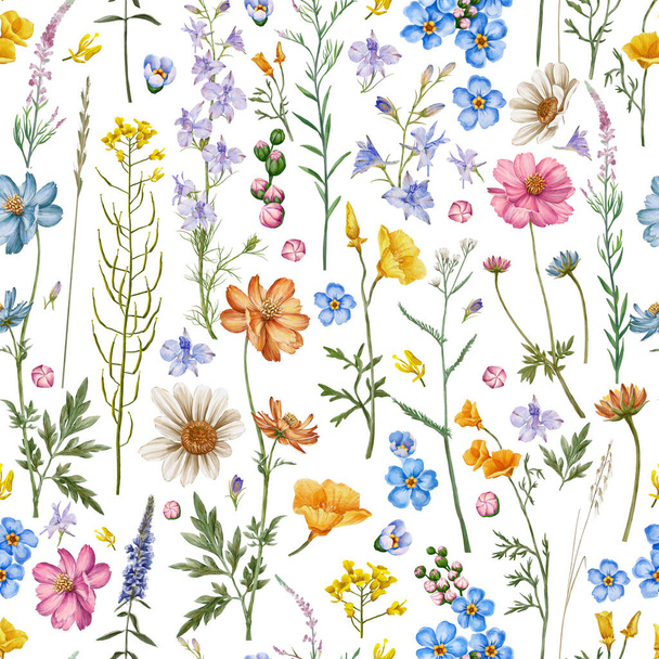 Meadow flowers and herbs  seamless pattern. Meadow cornflowers, Consolida regalis, Chamerion angustifolium, Cosmos flower. - Photo, image