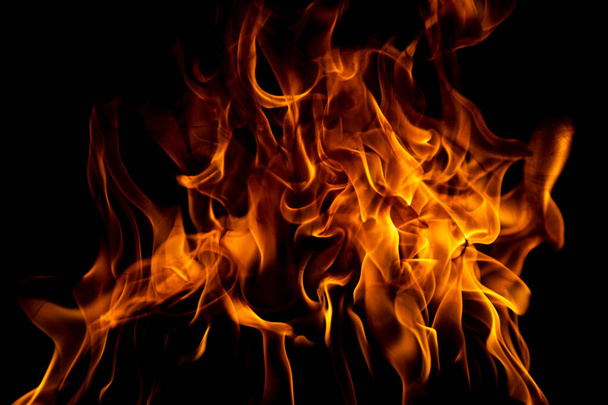 Fire flame. Burn lights on a black background - Foto, Imagen