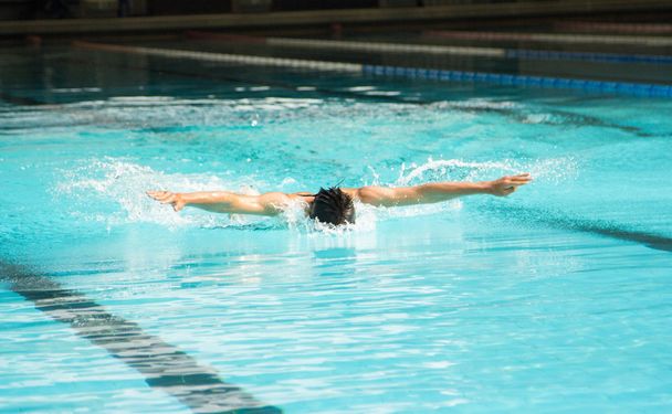 Mariposa carrera natación
 - Foto, Imagen