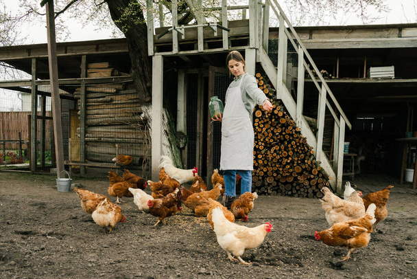 an attractive young woman standing near the chicken coop holding a jar with grain and feeding the chickens - Foto, afbeelding