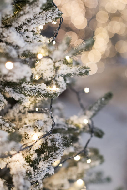 Рождественские елки со светом и снегом. Зимний лес с елками, снежный рождественский фон - Фото, изображение