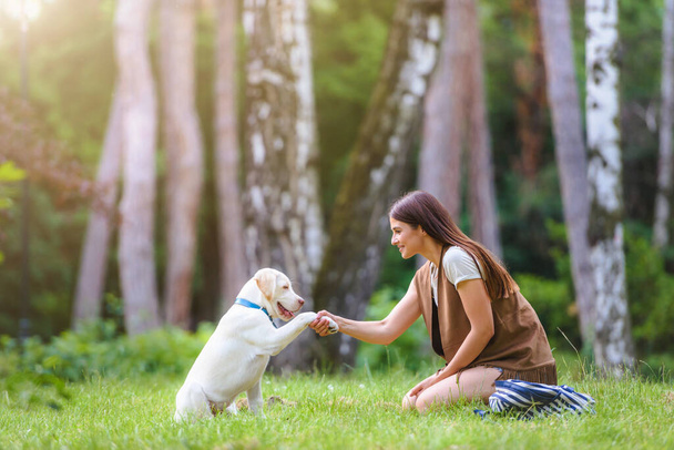 Young woman playing with cute  Labrador Retriever in public park. Dog best friend. - Photo, Image