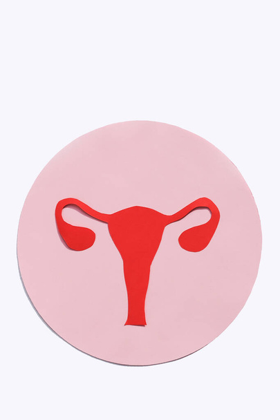 Silueta del útero anatómico con ovarios de color rojo sobre fondo blanco. Imagen vertical, plano, espacio de copia. - Foto, imagen
