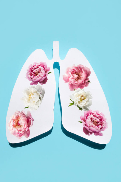 Paper silhouette of anatomical lungs with flowers inside on a blue background. The concept of healthy breathing. Vertical image. - Foto, afbeelding