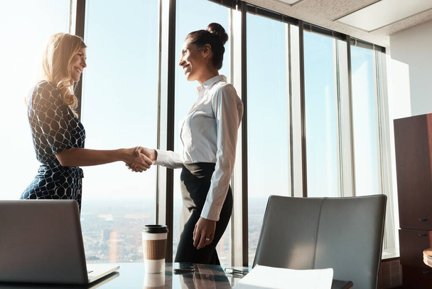 New people bring new opportunities to succeed. two businesswomen shaking hands in an office - Фото, изображение