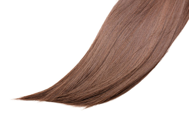 Brown hair on white background - Fotó, kép