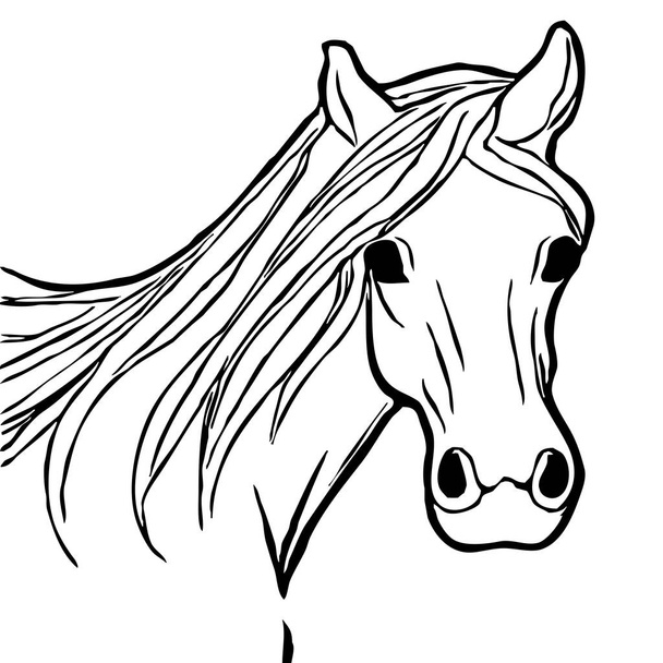 Ilustración animal. Silueta negra de un caballo sobre fondo blanco.  - Foto, imagen