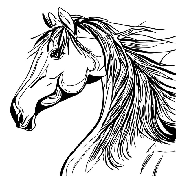 Illustrazione animale. Silhouette nera di un cavallo su sfondo bianco.  - Foto, immagini