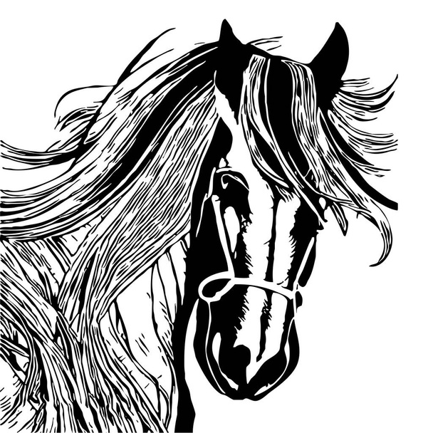 Ζωική απεικόνιση. Μαύρη σιλουέτα αλόγου σε λευκό φόντο.  - Φωτογραφία, εικόνα