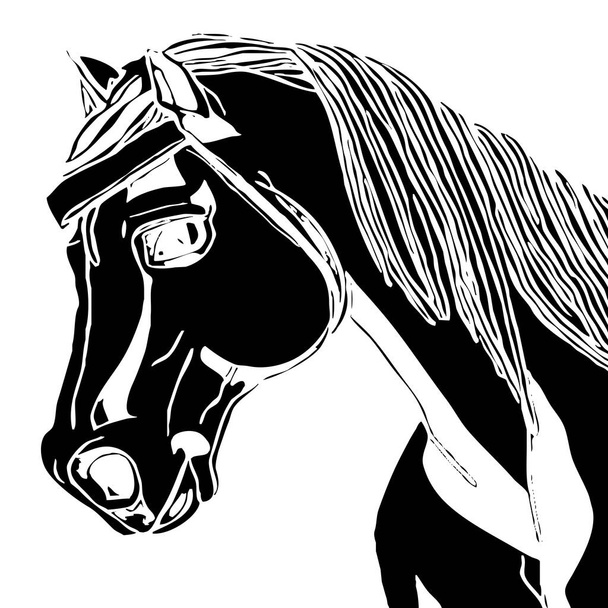 Illustration animale. Silhouette noire d'un cheval sur fond blanc.  - Photo, image