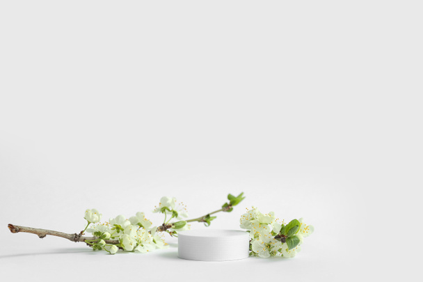 Декоративні подіуми і квітучі гілки на білому тлі
 - Фото, зображення