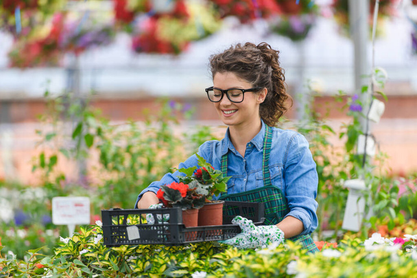 krásná žena pracující ve skleníku s květinami  - Fotografie, Obrázek
