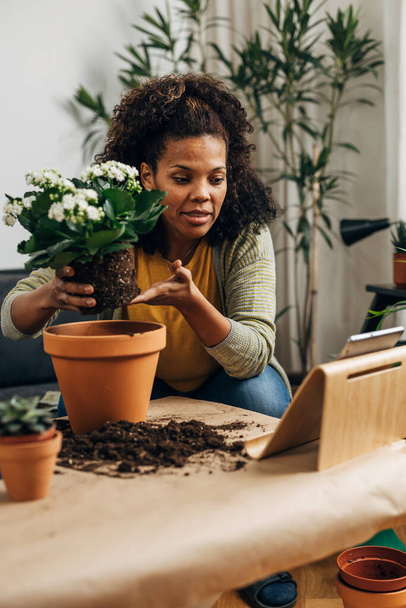 A multiracial woman if recording a video about how to replant a houseplant. - Fotó, kép