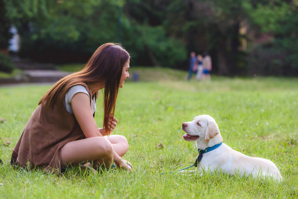 hermosa chica divirtiéndose con su cachorro labrador en el parque - Foto, Imagen