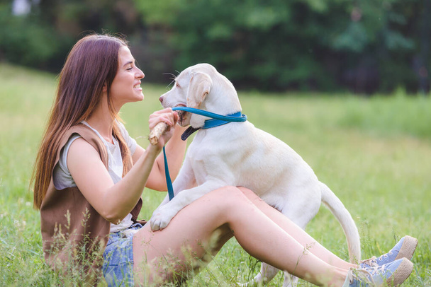 beautiful woman training her dog outdoors - Фото, изображение