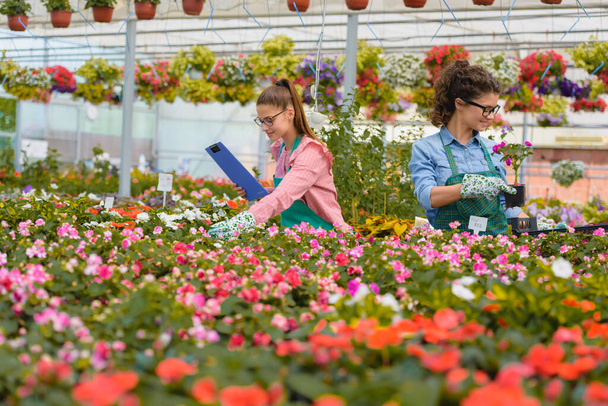 hermosas floristas mujeres que trabajan en invernadero - Foto, Imagen