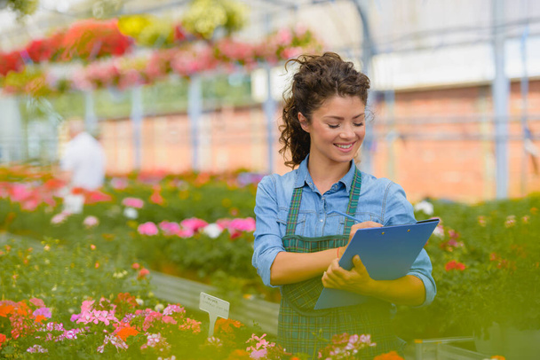 young woman gardener working in the greenhouse - Foto, Imagen