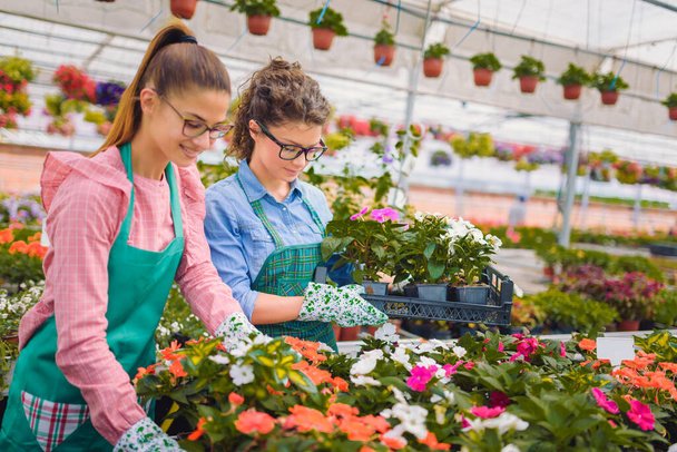 krásné ženy květinářství pracuje ve skleníku - Fotografie, Obrázek